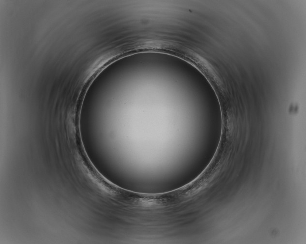 X0000091010794200708021547