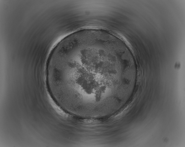 X0000091010795200708021547