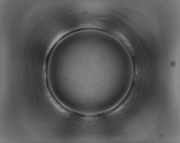 X0000091010796200708021547