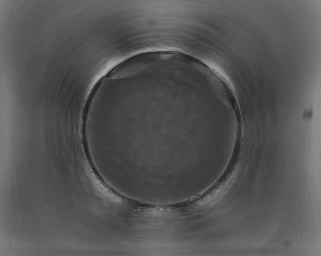 X0000091010797200708021547