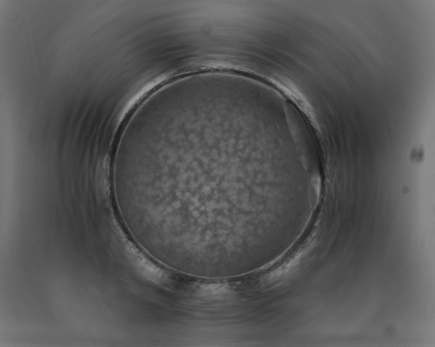 X0000091010798200708021547