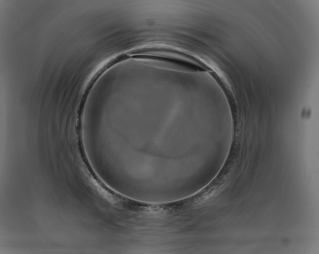 X0000091010799200708021547