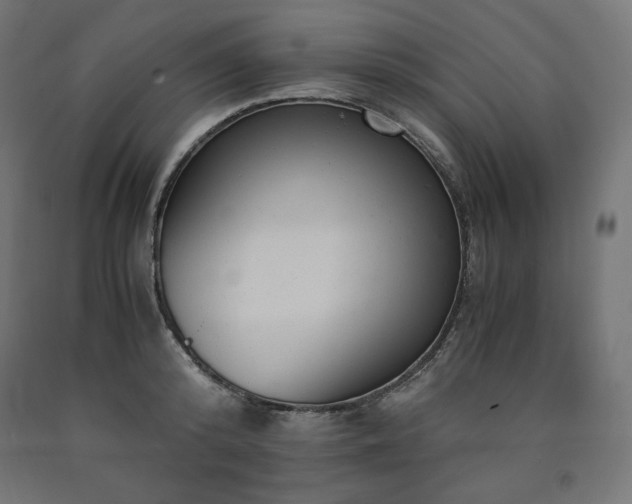 X0000091010800200708021547
