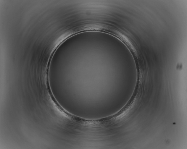X0000091010802200708021547