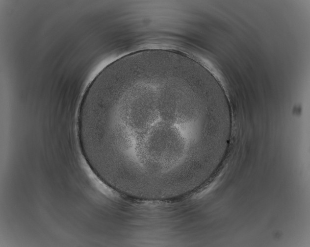 X0000091010803200708021547