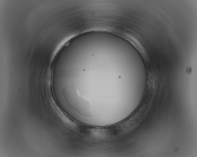 X0000091010804200708021547