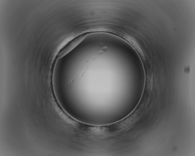 X0000091010805200708021547