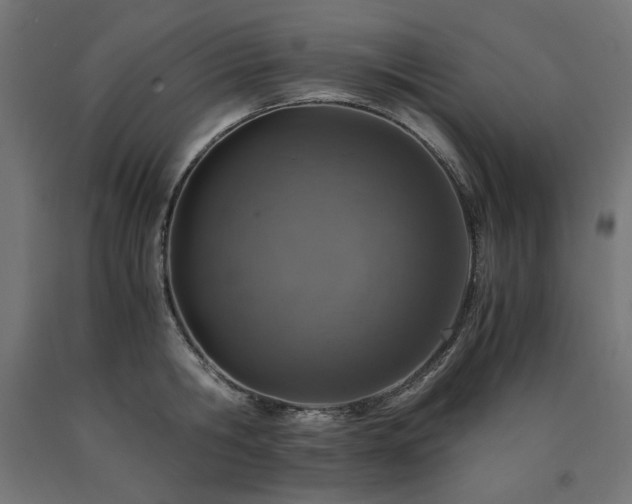 X0000091010806200708021547