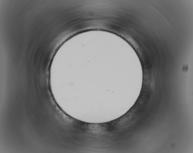 X0000091010807200708021547