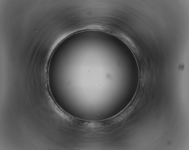 X0000091010808200708021547
