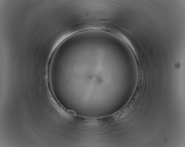 X0000091010811200708021547