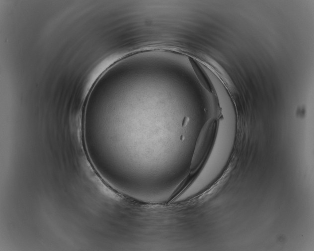 X0000091010812200708021547