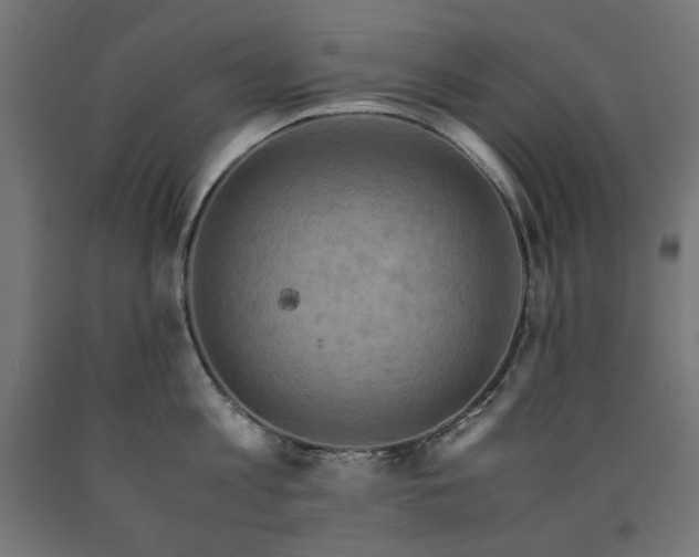 X0000091010813200708021547