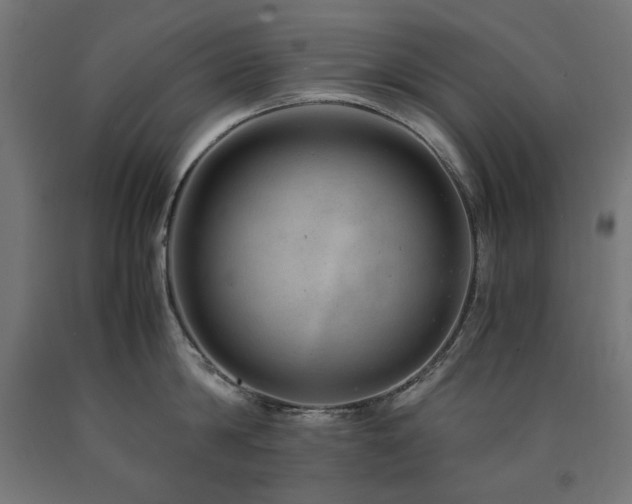 X0000091010814200708021547