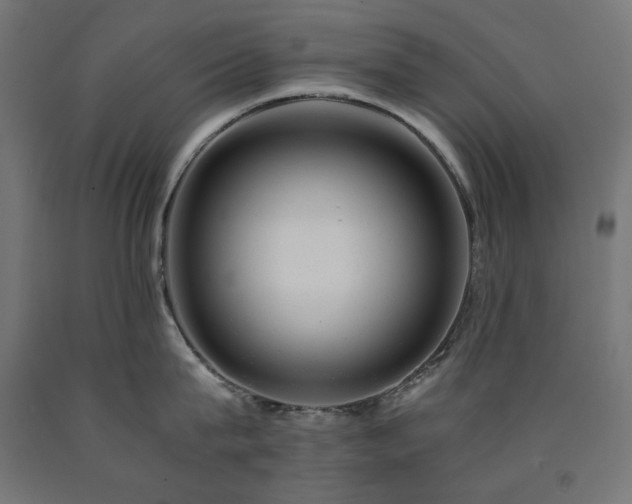 X0000091010815200708021547