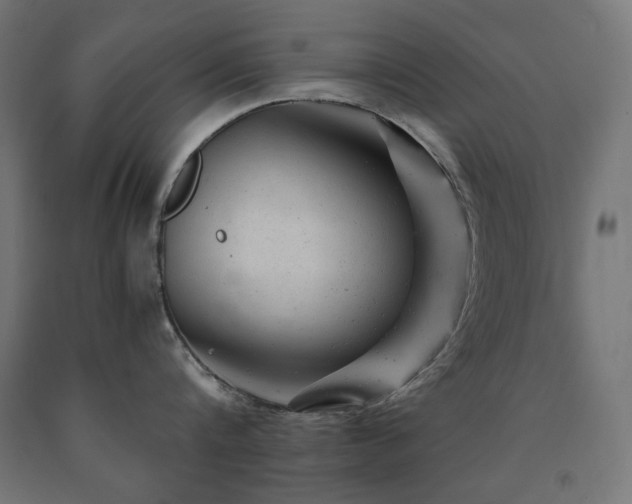 X0000091010816200708021547
