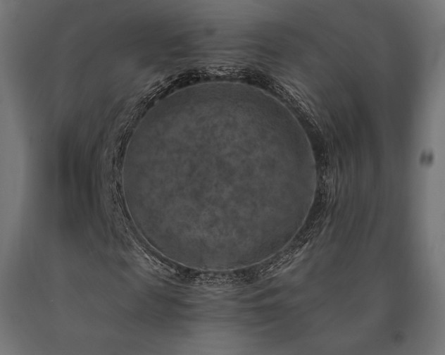X0000091010817200708021546
