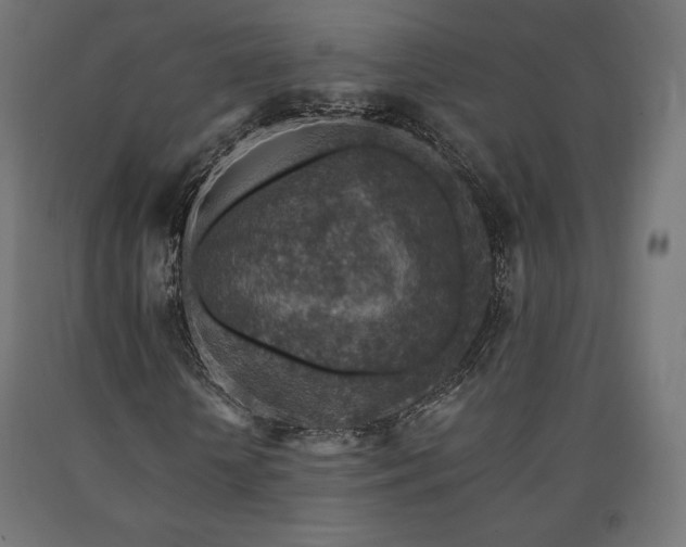 X0000091010818200708021546