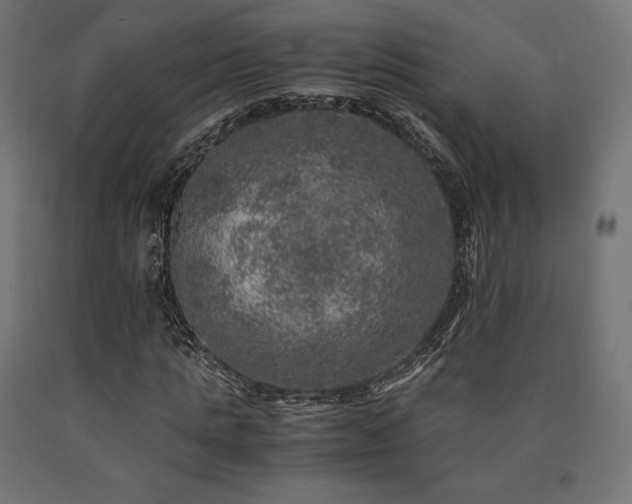 X0000091010821200708021546