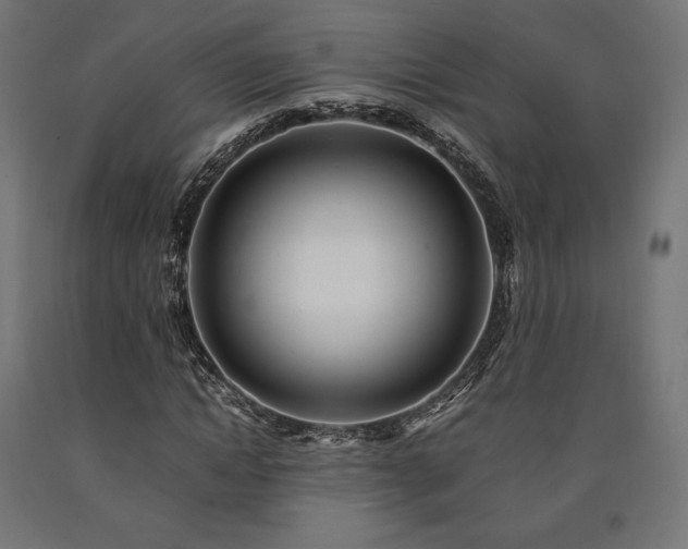 X0000091010822200708021546