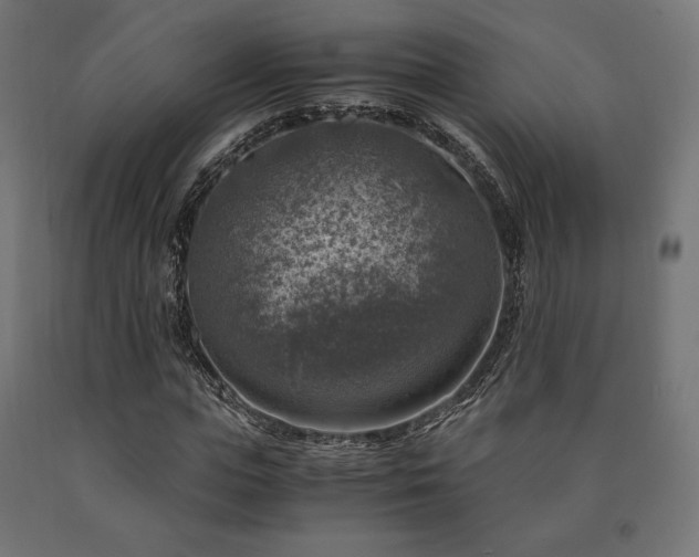 X0000091010823200708021546