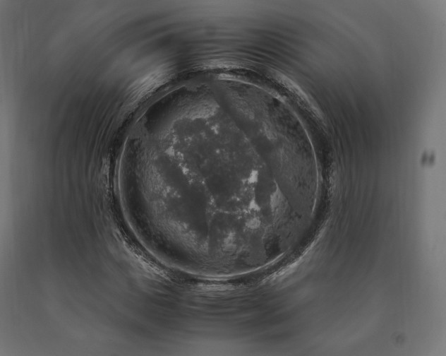 X0000091010825200708021546