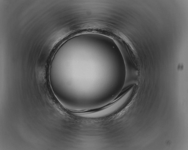 X0000091010826200708021546
