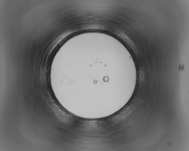 X0000091010828200708021546