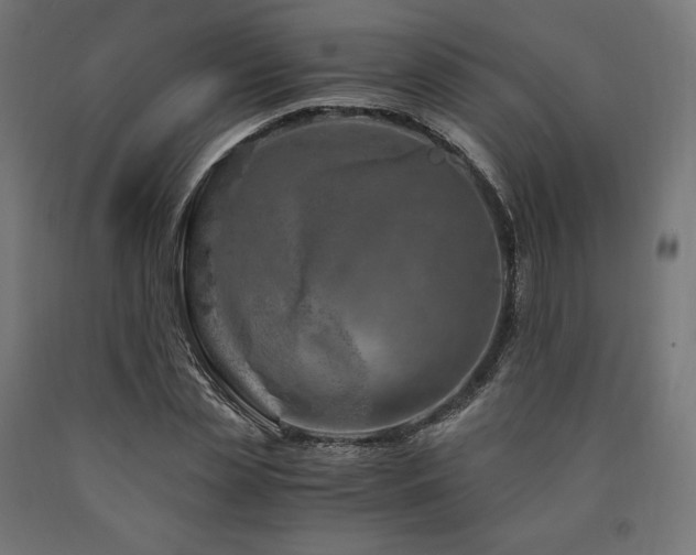 X0000091010829200708021546