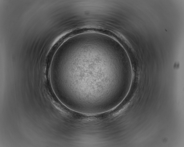 X0000091010830200708021546