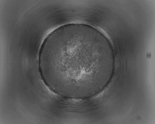 X0000091010831200708021546