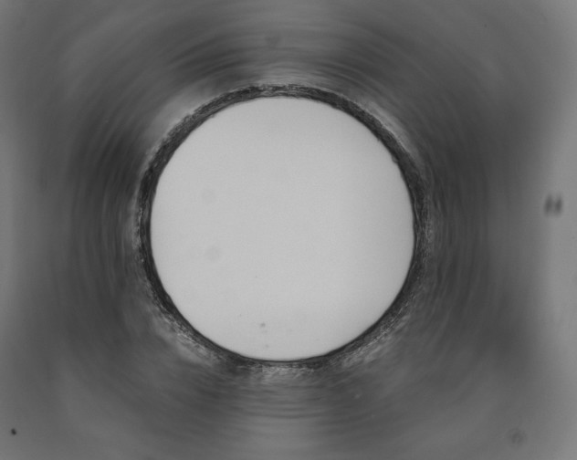 X0000091010832200708021546
