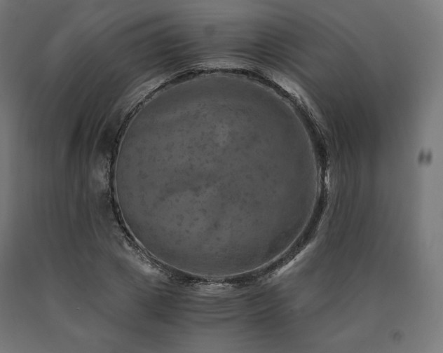X0000091010833200708021546