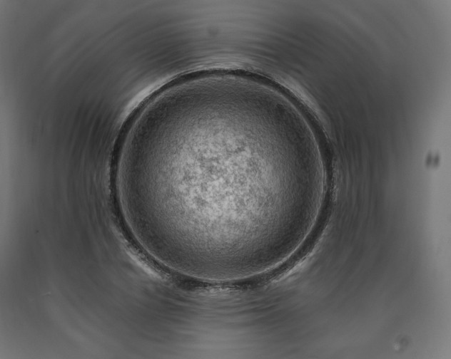 X0000091010834200708021546