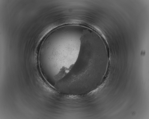 X0000091010835200708021546