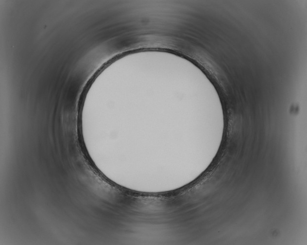 X0000091010836200708021546