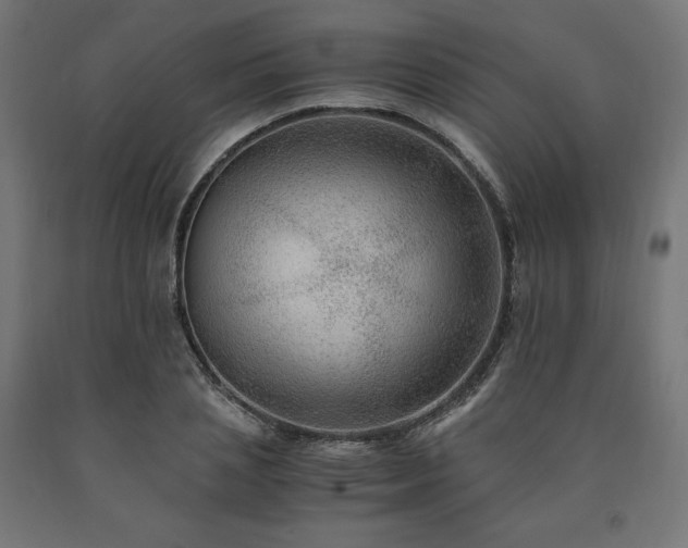 X0000091010837200708021546