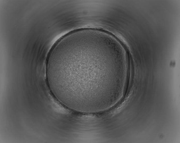 X0000091010838200708021546