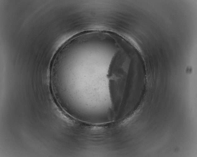 X0000091010839200708021546