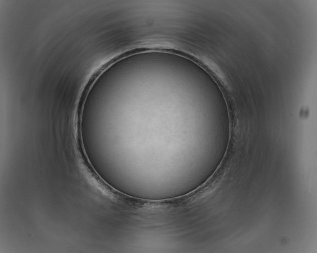 X0000091010840200708021546