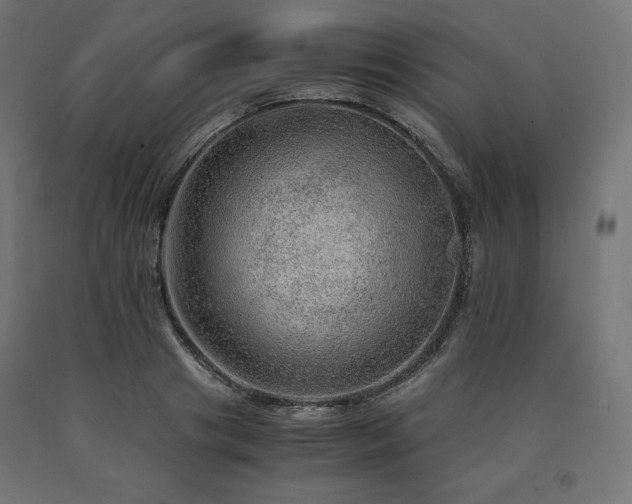 X0000091010841200708021546