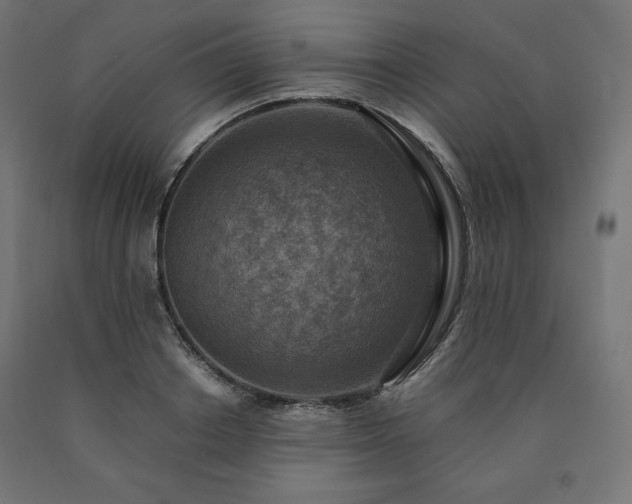 X0000091010842200708021546