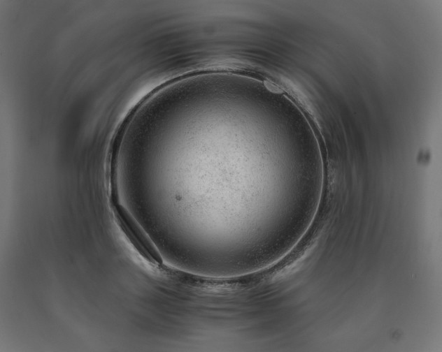 X0000091010843200708021546