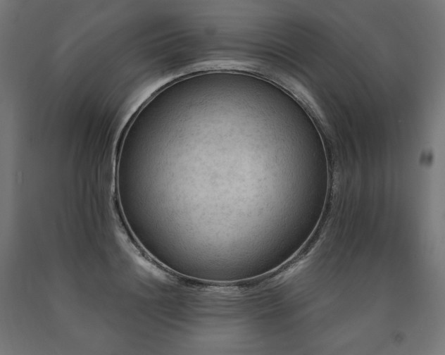 X0000091010844200708021547