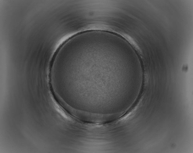X0000091010846200708021547