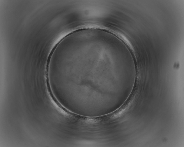 X0000091010847200708021547