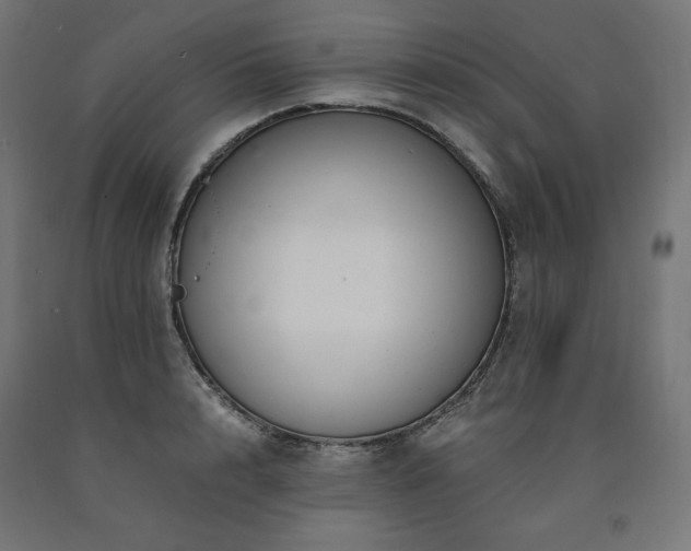 X0000091010848200708021547