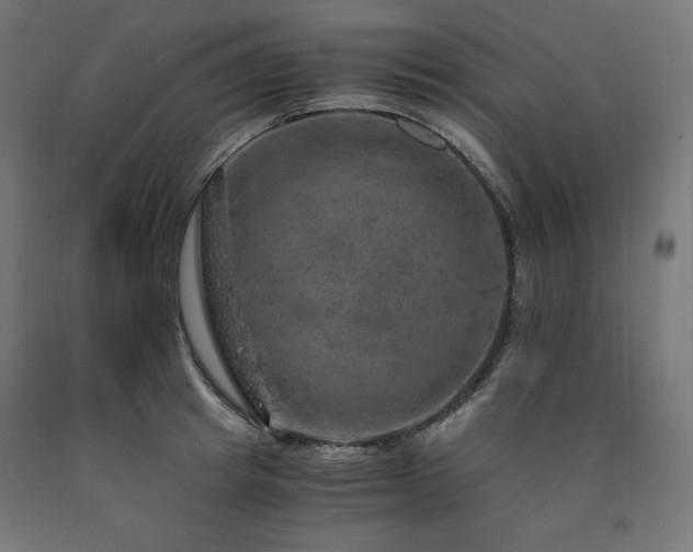 X0000091010849200708021547