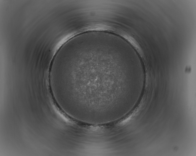 X0000091010850200708021547