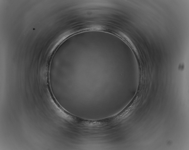 X0000091010851200708021547